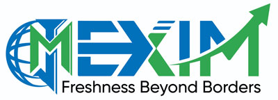 JM Exim